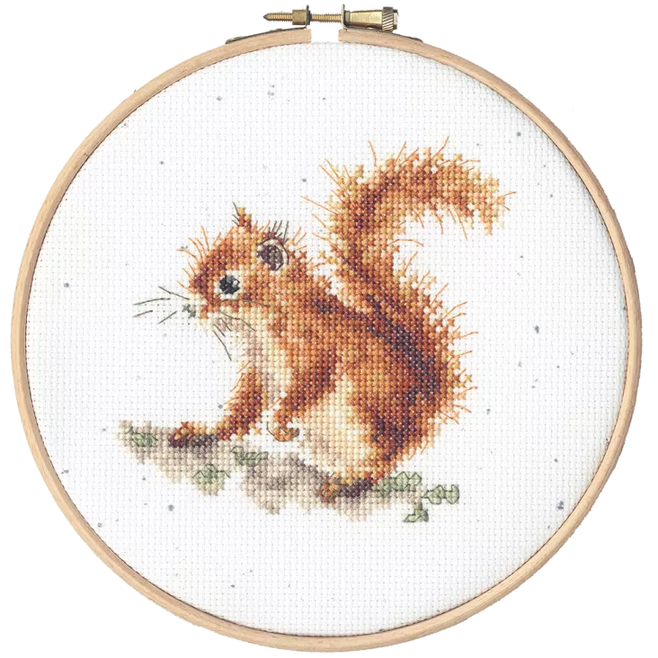 Acorns